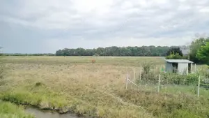 Teren Extravilan - imagine 13 Teren Extravilan - imagine 13