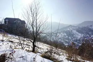 Teren Intravilan - Zona Drumul Poienii - imagine 5