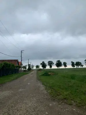 Teren intravilan Gepiu Colonie