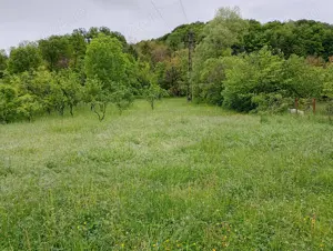 Teren intravilan in Fieni, 1628 mp