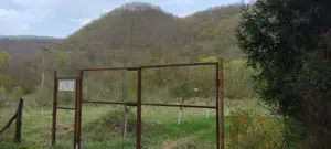 Teren cu livadă pe rod   120 pomi fructiferi   3.100 mp   Sat Boz, Brănișca, Hunedoara - imagine 4