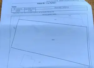 Teren cu livadă pe rod   120 pomi fructiferi   3.100 mp   Sat Boz, Brănișca, Hunedoara - imagine 5