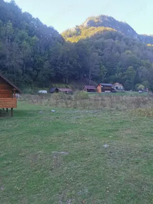 Teren intravilan la munte, Cerna Sat 7 izvoare - imagine 6