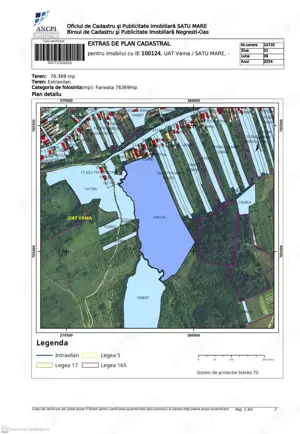 Urgent si ieftin de VINZARE 10 ha teren in  comuna VAMA de SATU MARE 10 000 EURO hectarul - imagine 3