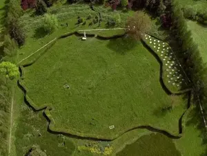 Urgent si ieftin de VINZARE 10 ha teren in  comuna VAMA de SATU MARE 10 000 EURO hectarul - imagine 8