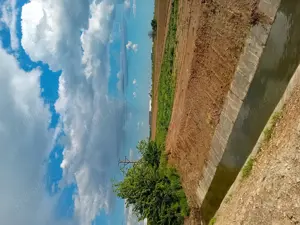 Vând teren extravilan, Bolintin-Deal,zona industriala, ideal hale - imagine 5