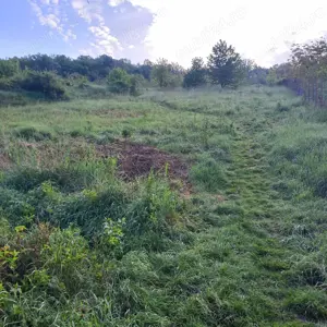 P.F.Teren intravilan Barnova, Sat Cercu 1000 mp+ autorizatie duplex - imagine 5