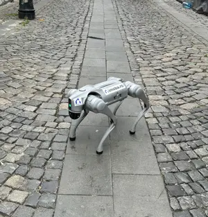 Caine robot pui de rasa digitala