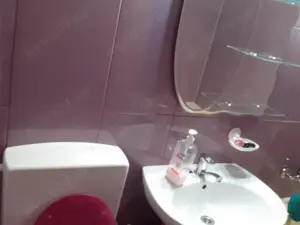 Iancului , Pantelimon , Bd Chisinau  - imagine 9