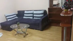 Iancului , Pantelimon , Bd Chisinau  - imagine 8