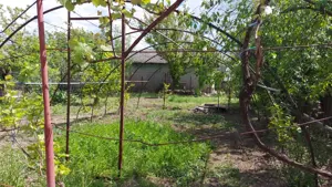 Casă de vanare - imagine 9