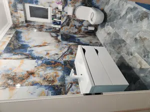 Casa de vinzare in sintandrei - imagine 10