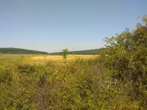 Teren  intre  Reghin si Suseni - imagine 3