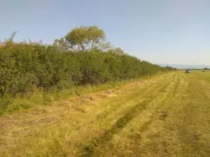 Teren  intre  Reghin si Suseni - imagine 5