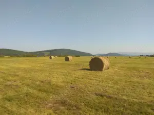 Teren  intre  Reghin si Suseni - imagine 4