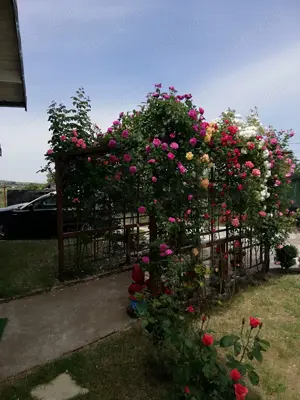 Urgent .Proprietar, parter la casa cu etaj, Mogosesti - Iasi, 10 km - imagine 4