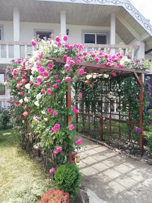 Urgent .Proprietar, parter la casa cu etaj, Mogosesti - Iasi, 10 km - imagine 2