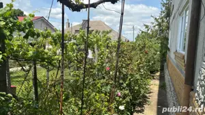 Casă de vânzare Tuzla - imagine 4