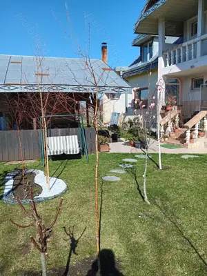 Urgent .Proprietar, parter la casa cu etaj, Mogosesti - Iasi, 10 km - imagine 3