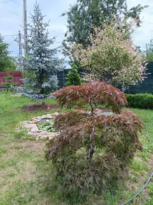 Urgent .Proprietar, parter la casa cu etaj, Mogosesti - Iasi, 10 km - imagine 5