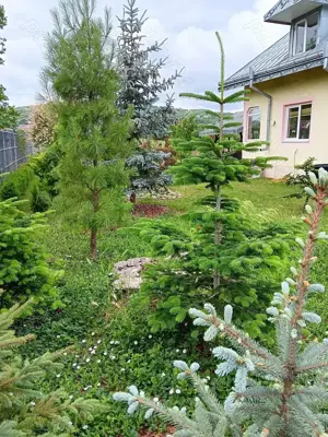 Urgent .Proprietar, parter la casa cu etaj, Mogosesti - Iasi, 10 km - imagine 7