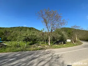 Teren de vanzare Borlova-Muntele Mic!!!