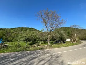Teren de vanzare Borlova-Muntele Mic!!! - imagine 2