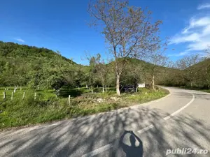 Teren de vanzare Borlova-Muntele Mic!!! - imagine 3