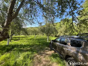 Teren de vanzare Borlova-Muntele Mic!!! - imagine 6