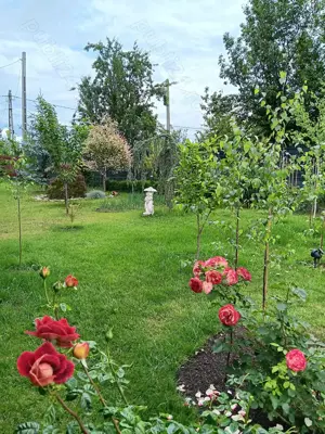 Urgent .Proprietar, parter la casa cu etaj, Mogosesti - Iasi, 10 km - imagine 9