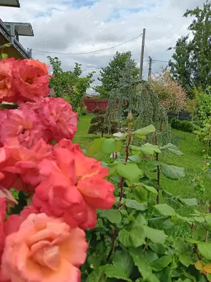 Urgent .Proprietar, parter la casa cu etaj, Mogosesti - Iasi, 10 km - imagine 10