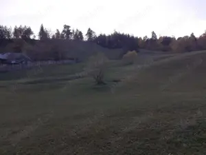 Teren intravilan in Nereju, Vrancea - imagine 4