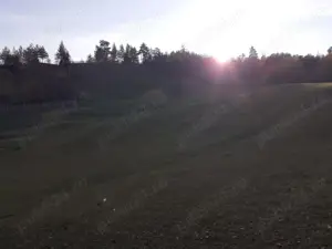 Teren intravilan in Nereju, Vrancea