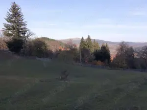 Teren intravilan in Nereju, Vrancea - imagine 6