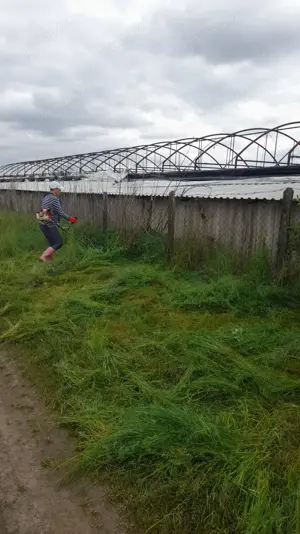 Casa Ungaria in localitatea Hencida - imagine 2 Casa Ungaria in localitatea Hencida - imagine 2