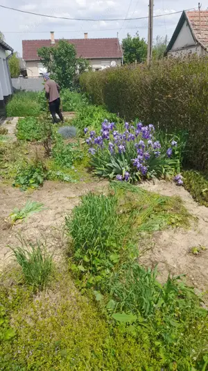 Casa Ungaria in localitatea Hencida - imagine 8 Casa Ungaria in localitatea Hencida - imagine 8