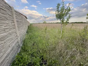 Teren Intravilan Becicherecu Mic ,776 mp,Fs. 17,5m - imagine 3