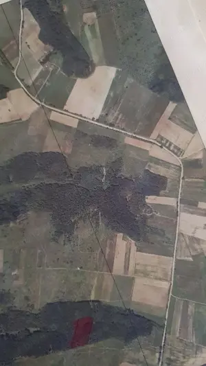Vand 1 hectar padure intabulata delimitata zona visag com. victor vlad delamarina,timis