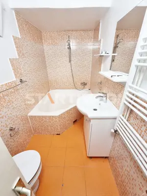 Garsoniera ultracentral zona Facultatii de Medicina - imagine 12