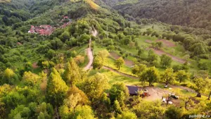 Vand teren pt cabana - imagine 2