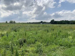 Oportunitate: vand teren Ghiroda, Bistra - imagine 3