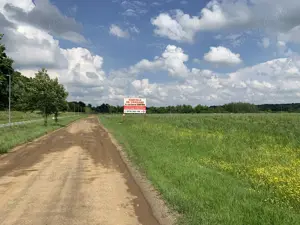 Oportunitate: vand teren Ghiroda, Bistra - imagine 5