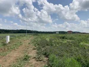 Oportunitate: vand teren Ghiroda, Bistra - imagine 2