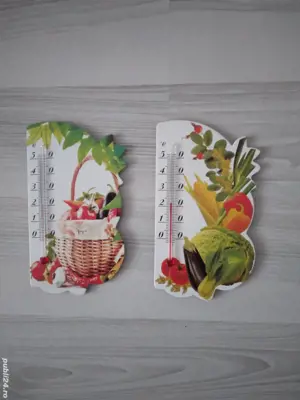 T E R M O M E T R E-cu magnet,noi