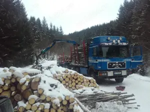 Camion transport bușteni cu macara hidraulică - imagine 4