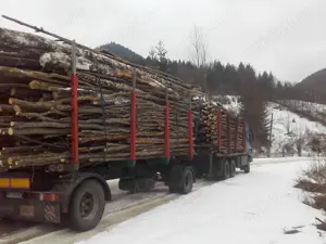 Camion transport bușteni cu macara hidraulică - imagine 2