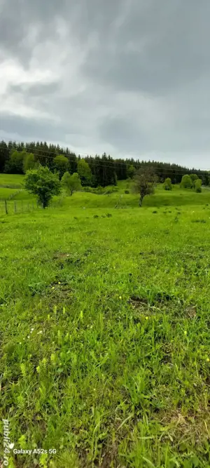 Teren de vanzare 3465 mp intravilan Poduri,Valea Doftanei ,la 370 m de Cabanele Tea - imagine 2