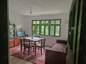 Vând casa in zona de munte, com. Podeni, jud. Mehedinți. - imagine 6