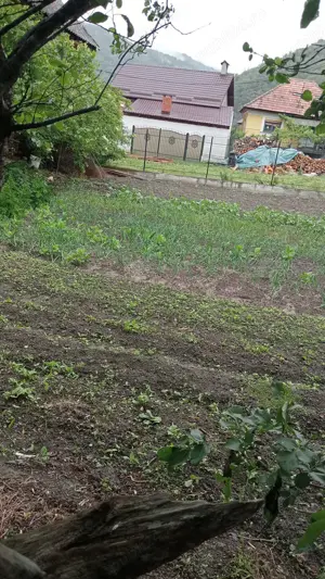 Casa la tara pe Valea Oltului - imagine 3