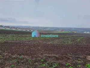 Teren intravilan 2391 mp in Sf. Ilie